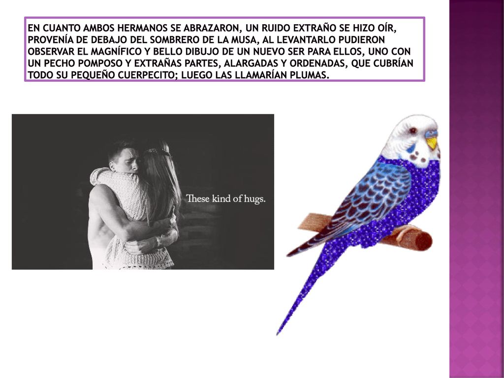 En cuanto ambos hermanos se abrazaron, un ruido extraño se hizo oír, provenía de debajo del sombrero de la musa, al levantarlo pudieron observar el magnífico y bello dibujo de un nuevo ser para ellos, uno con un pecho pomposo y extrañas partes, alargadas y ordenadas, que cubrían todo su pequeño cuerpecito; luego las llamarían plumas.