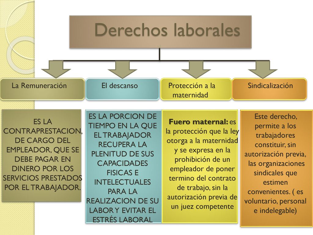 Derechos laborales La Remuneración El descanso Protección a la Sindicalización.