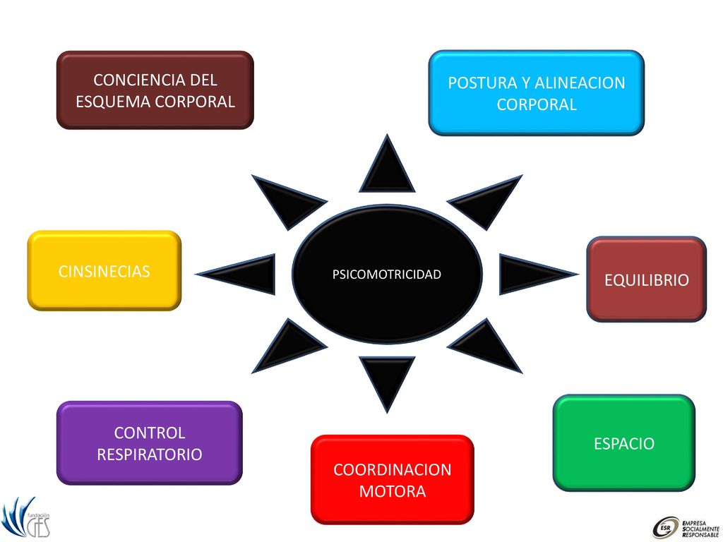 CONCIENCIA DEL ESQUEMA CORPORAL POSTURA Y ALINEACION CORPORAL
