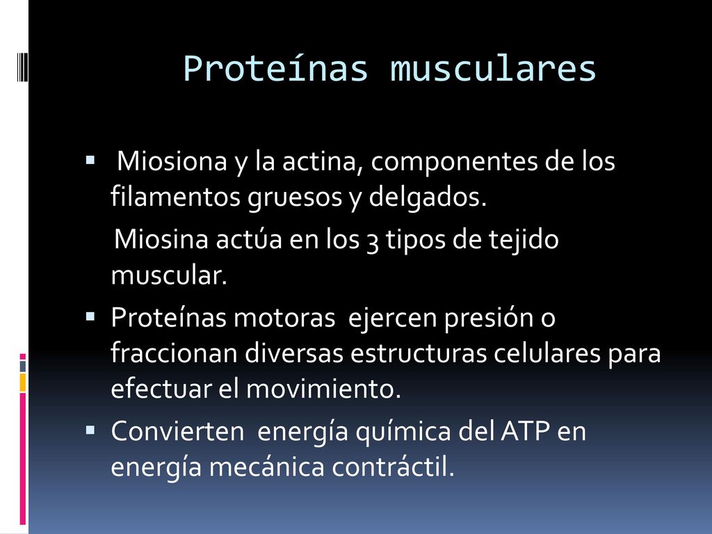 Proteínas musculares Miosiona y la actina, componentes de los filamentos gruesos y delgados. Miosina actúa en los 3 tipos de tejido muscular.