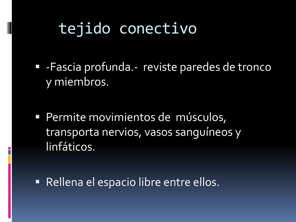 tejido conectivo -Fascia profunda.- reviste paredes de tronco y miembros.