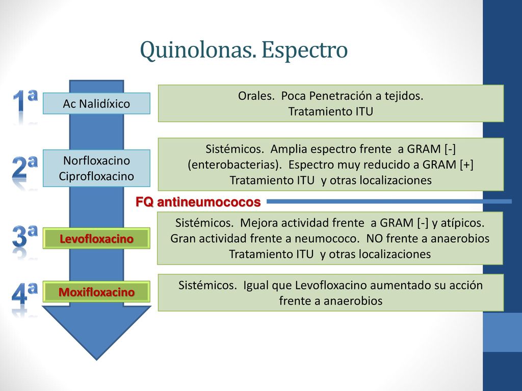 1ª 2ª 3ª 4ª Quinolonas. Espectro Orales. Poca Penetración a tejidos.