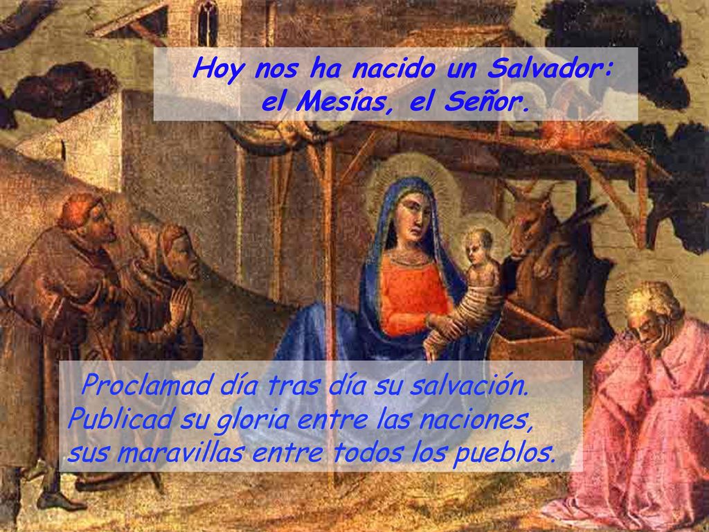 Hoy nos ha nacido un Salvador: el Mesías, el Señor.