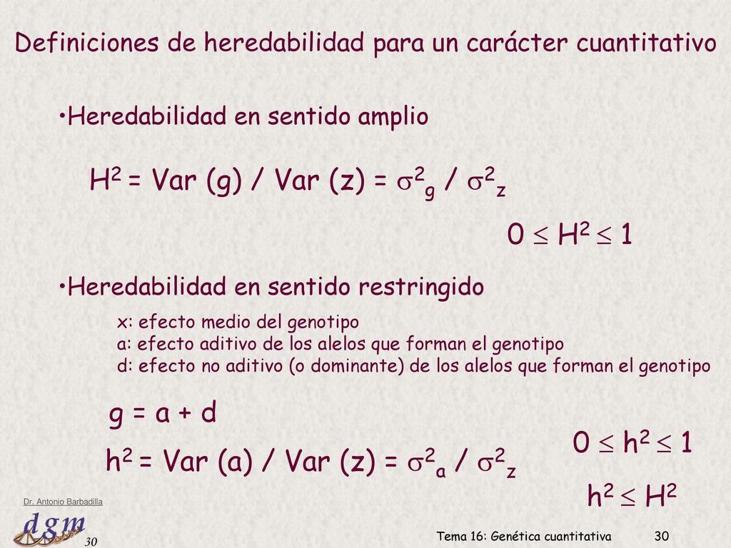 H2 = Var (g) / Var (z) = 2g / 2z