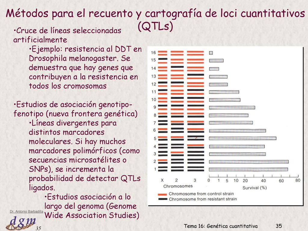 Métodos para el recuento y cartografía de loci cuantitativos (QTLs)