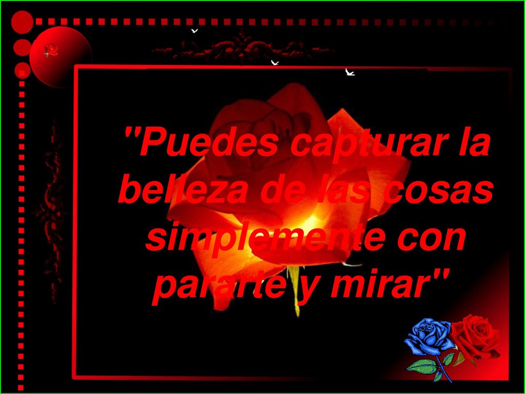 Puedes capturar la belleza de las cosas simplemente con pararte y mirar