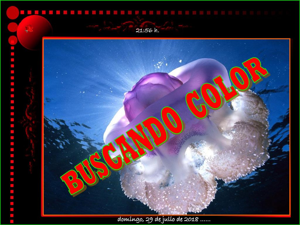 21:56 h. BUSCANDO COLOR domingo, 29 de julio de 2018 ……