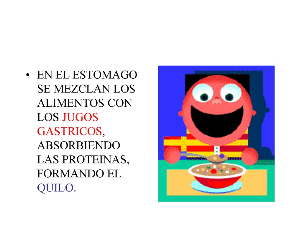 EN EL ESTOMAGO SE MEZCLAN LOS ALIMENTOS CON LOS JUGOS GASTRICOS, ABSORBIENDO LAS PROTEINAS, FORMANDO EL QUILO.