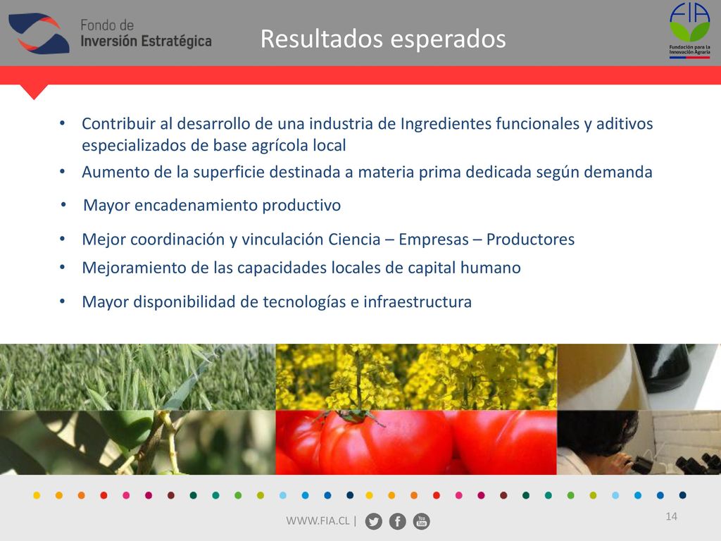 Resultados esperados Contribuir al desarrollo de una industria de Ingredientes funcionales y aditivos especializados de base agrícola local.