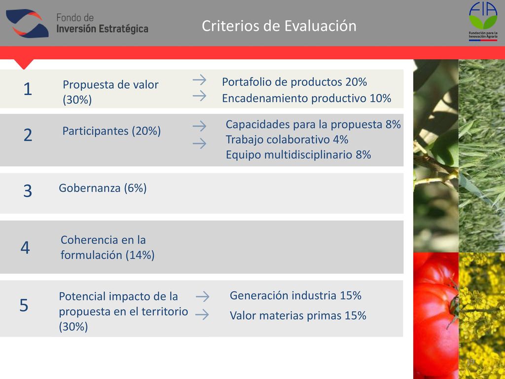 Criterios de Evaluación Portafolio de productos 20%