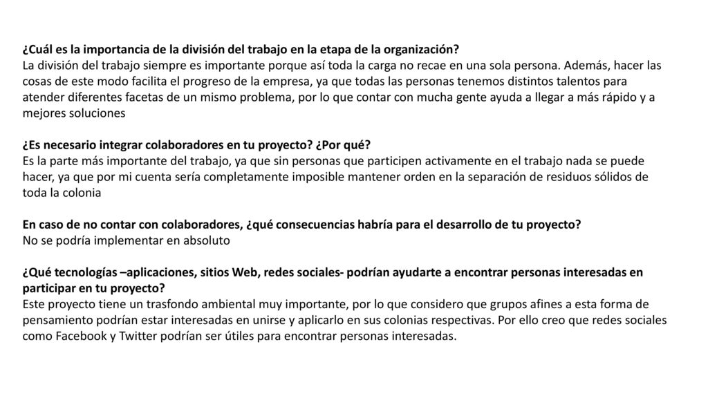 ¿Cuál es la importancia de la división del trabajo en la etapa de la organización