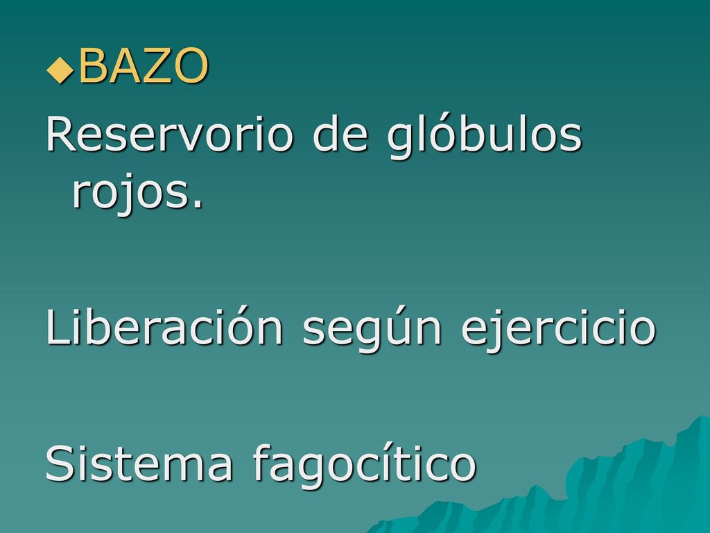 BAZO Reservorio de glóbulos rojos. Liberación según ejercicio Sistema fagocítico