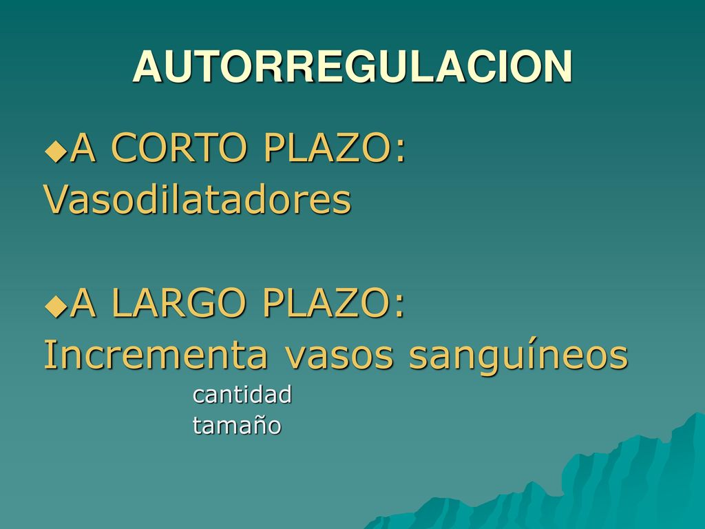 AUTORREGULACION A CORTO PLAZO: Vasodilatadores A LARGO PLAZO: