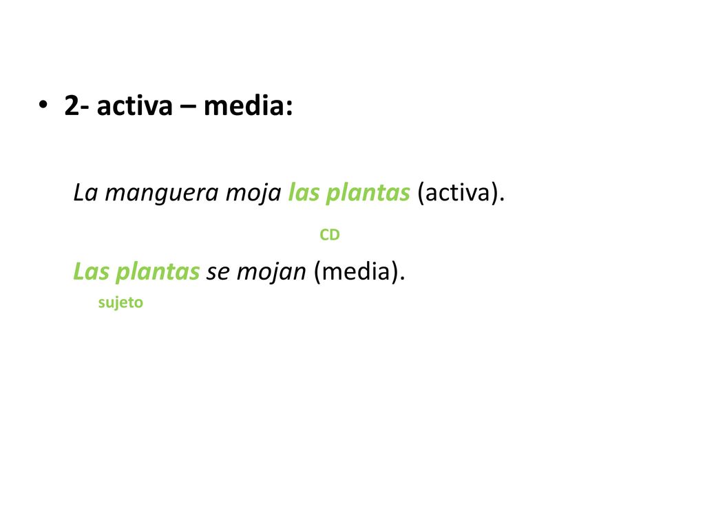 2- activa – media: La manguera moja las plantas (activa). CD