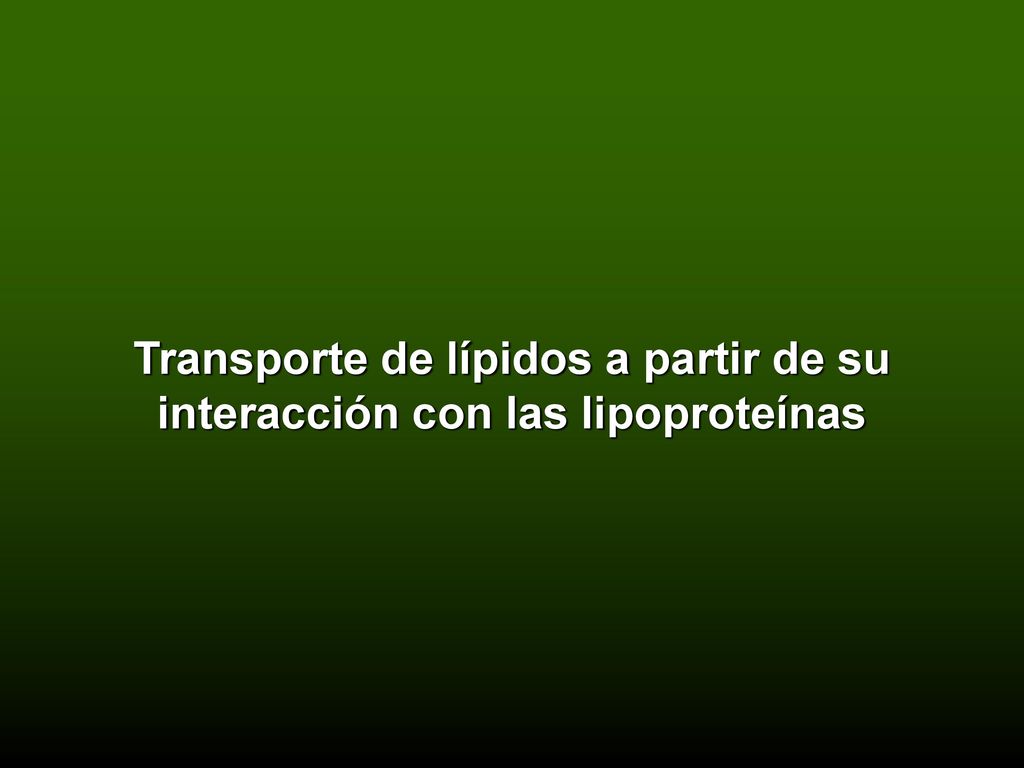 Transporte de lípidos a partir de su interacción con las lipoproteínas