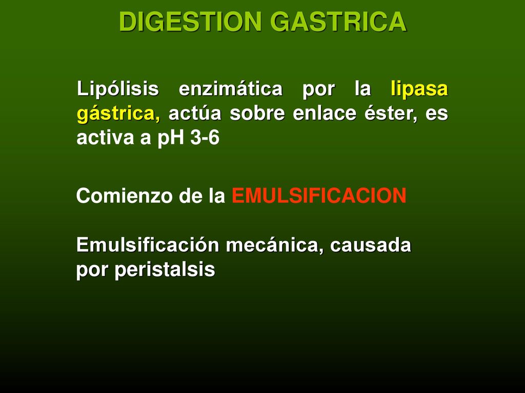 DIGESTION GASTRICA Lipólisis enzimática por la lipasa gástrica, actúa sobre enlace éster, es activa a pH 3-6.