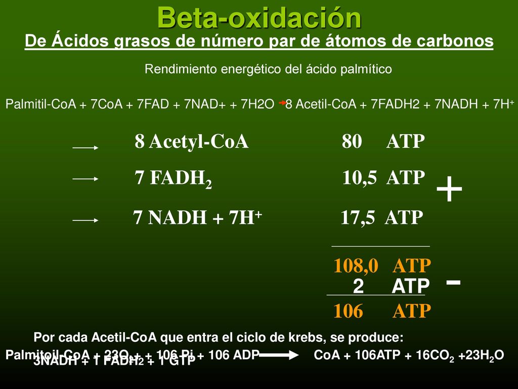 De Ácidos grasos de número par de átomos de carbonos