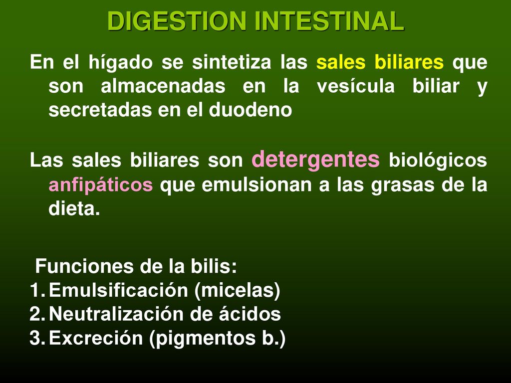 DIGESTION INTESTINAL En el hígado se sintetiza las sales biliares que son almacenadas en la vesícula biliar y secretadas en el duodeno.