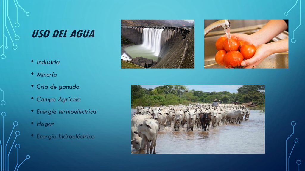 Uso del agua Industria Minería Cría de ganado Campo Agrícola
