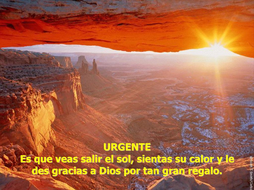 URGENTE Es que veas salir el sol, sientas su calor y le des gracias a Dios por tan gran regalo.