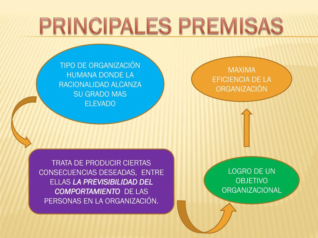 PRINCIPALES PREMISAS TIPO DE ORGANIZACIÓN HUMANA DONDE LA RACIONALIDAD ALCANZA SU GRADO MAS ELEVADO.