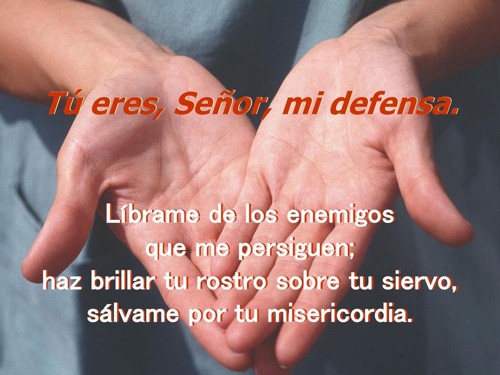 Líbrame de los enemigos haz brillar tu rostro sobre tu siervo,
