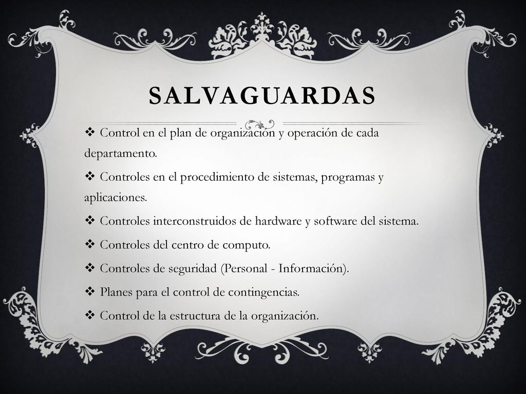 SALVAGUARDAS Control en el plan de organización y operación de cada departamento.