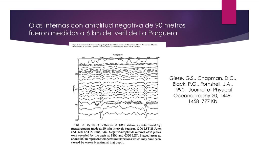 Olas internas con amplitud negativa de 90 metros fueron medidas a 6 km del veril de La Parguera