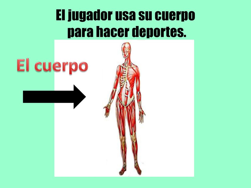 El jugador usa su cuerpo para hacer deportes.