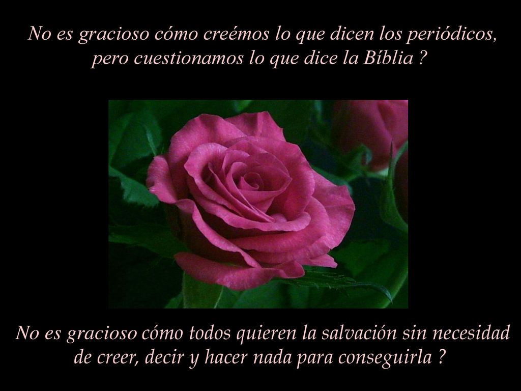 No es gracioso cómo creémos lo que dicen los periódicos, pero cuestionamos lo que dice la Bíblia