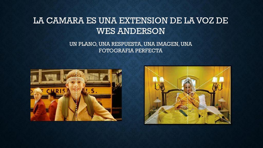 LA CAMARA ES UNA EXTENSION DE LA VOZ DE WES ANDERSON