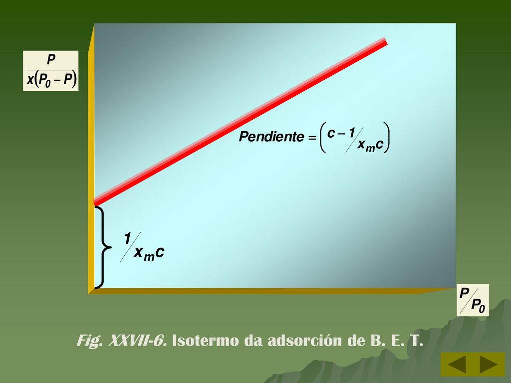 Fig. XXVII-6. Isotermo da adsorción de B. E. T.