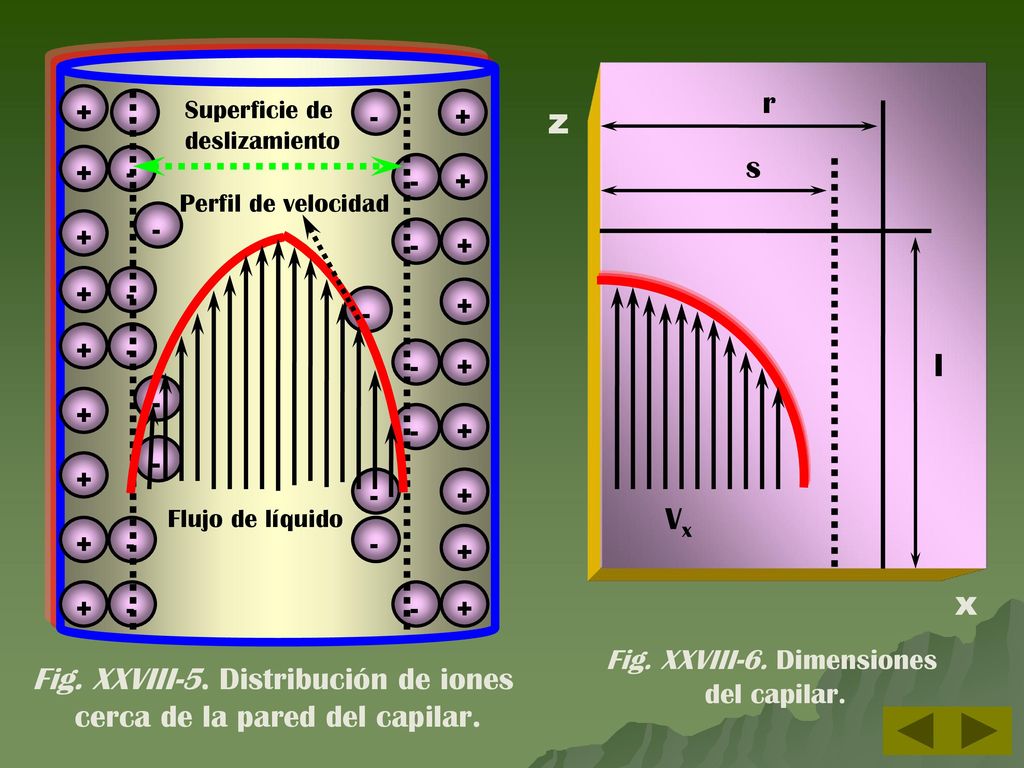 z x r s l Vx Fig. XXVIII-5. Distribución de iones