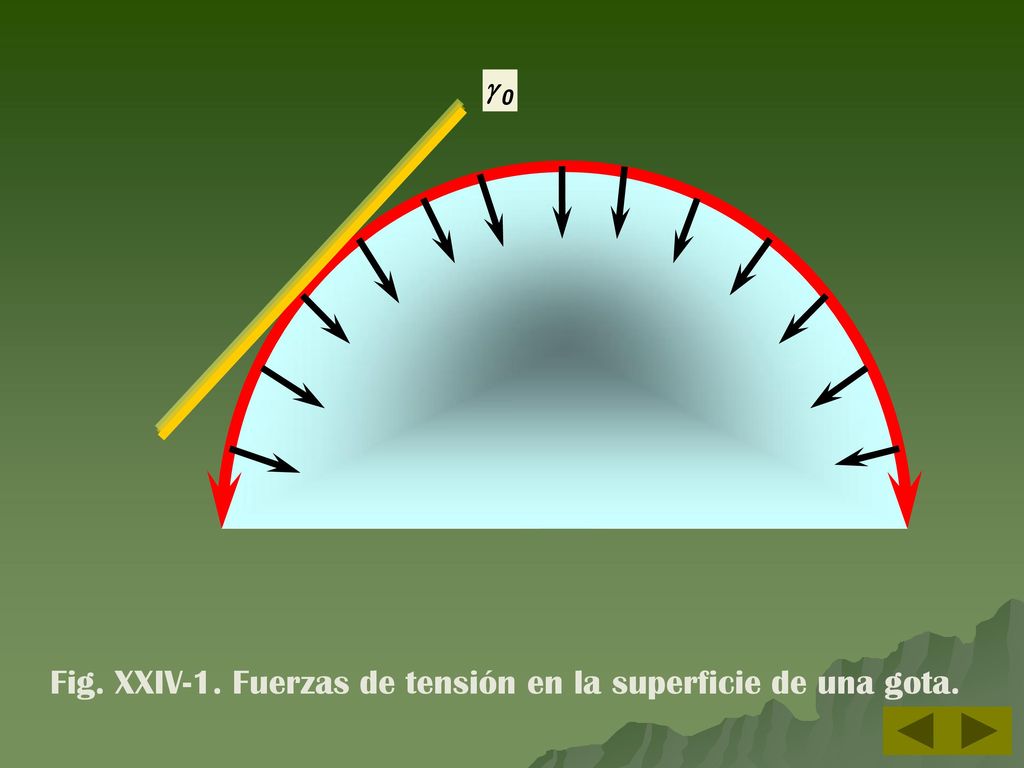 Fig. XXIV-1. Fuerzas de tensión en la superficie de una gota.