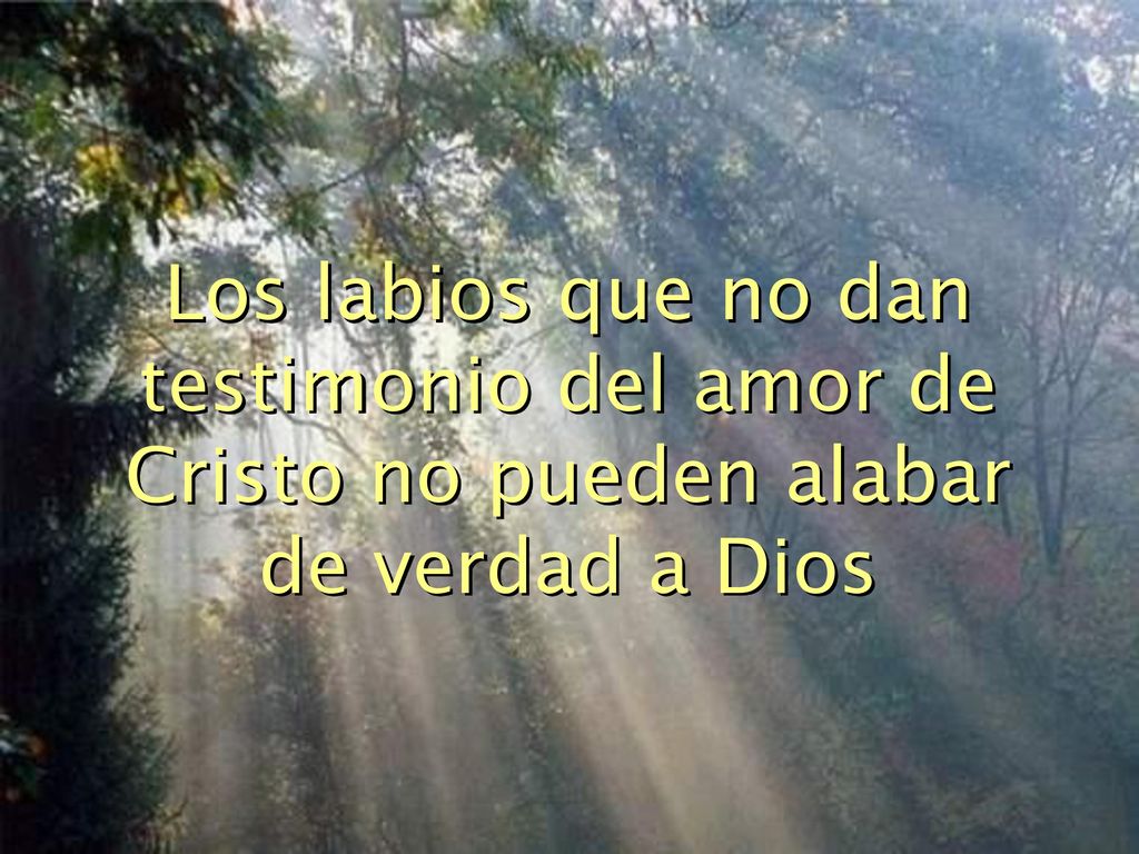 Los labios que no dan testimonio del amor de Cristo no pueden alabar de verdad a Dios