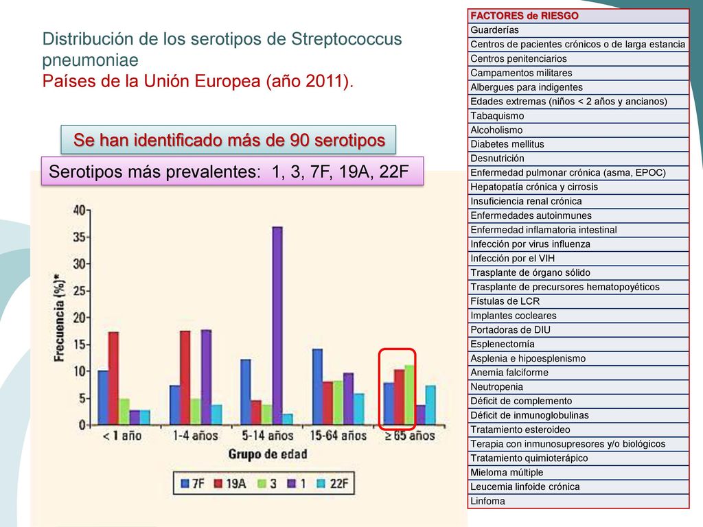 Se han identificado más de 90 serotipos