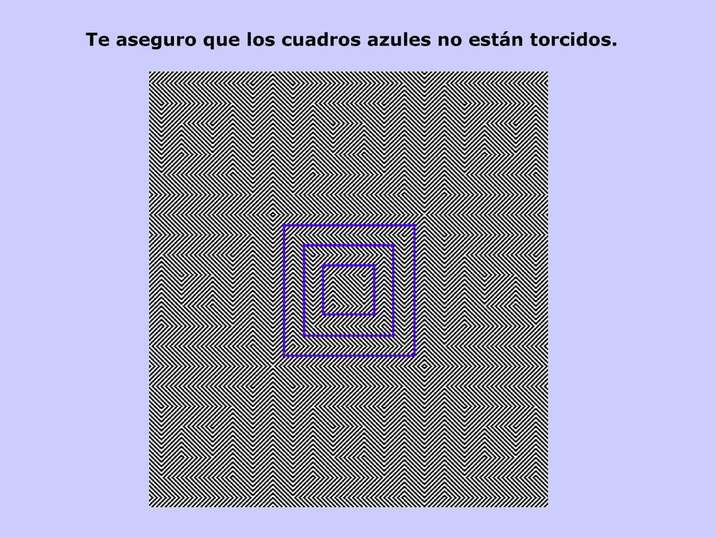 Te aseguro que los cuadros azules no están torcidos.