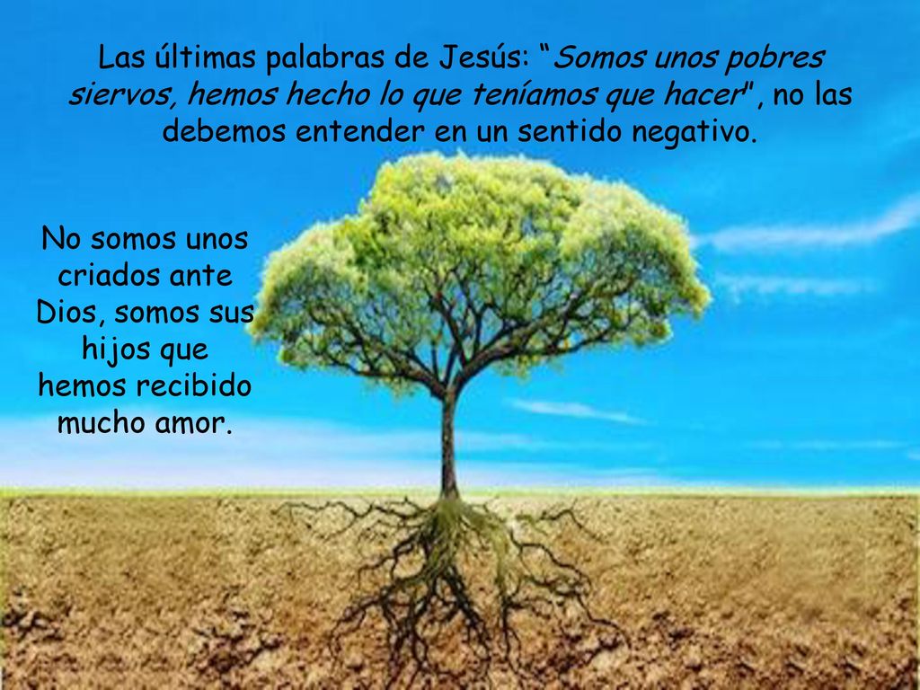Las últimas palabras de Jesús: Somos unos pobres siervos, hemos hecho lo que teníamos que hacer , no las debemos entender en un sentido negativo.