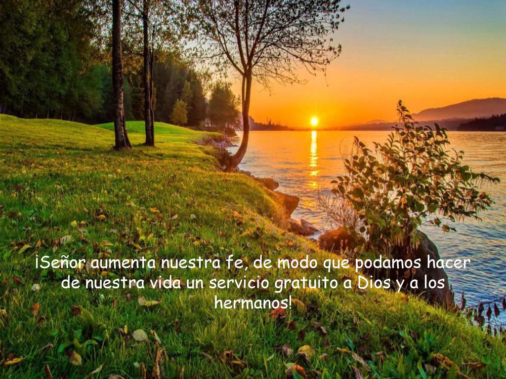 ¡Señor aumenta nuestra fe, de modo que podamos hacer de nuestra vida un servicio gratuito a Dios y a los hermanos!