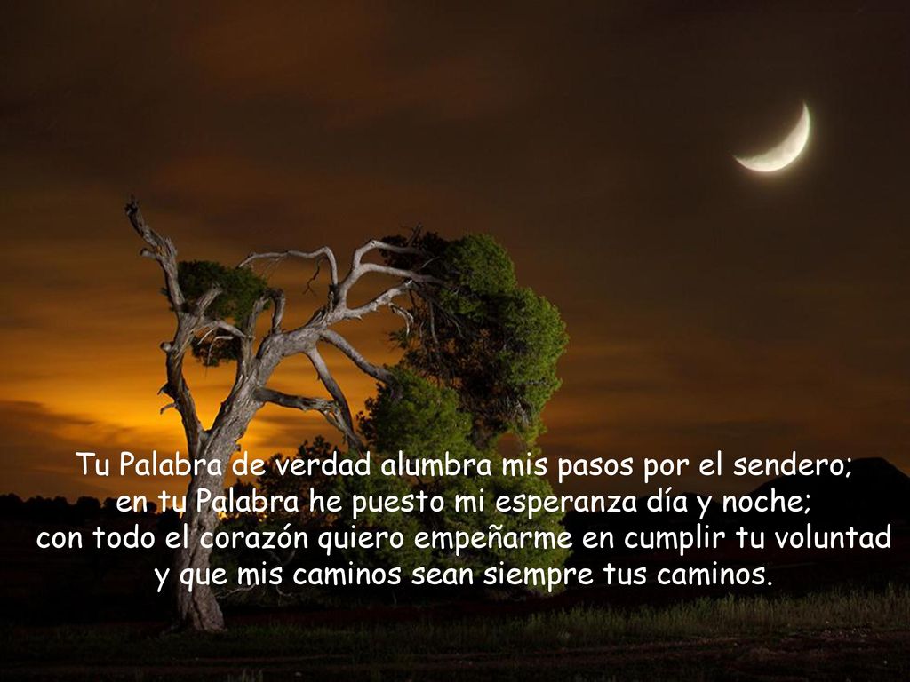 Tu Palabra de verdad alumbra mis pasos por el sendero;