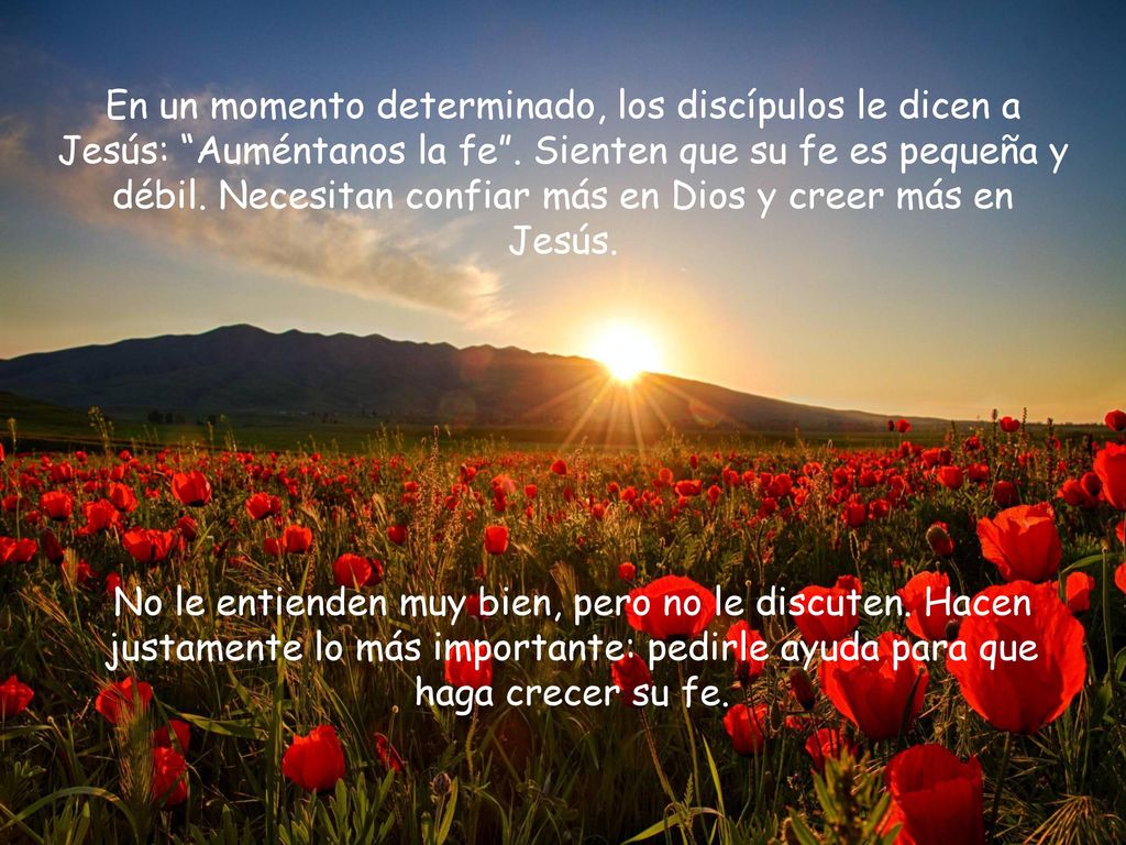 En un momento determinado, los discípulos le dicen a Jesús: Auméntanos la fe . Sienten que su fe es pequeña y débil. Necesitan confiar más en Dios y creer más en Jesús.