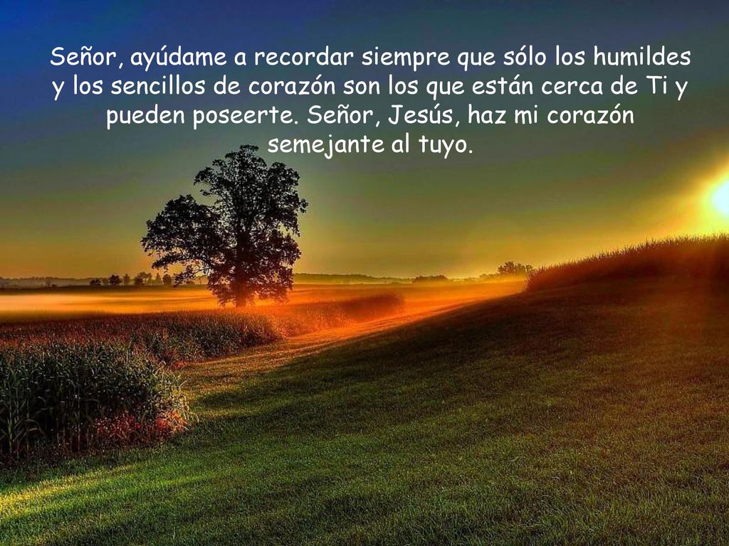 Señor, ayúdame a recordar siempre que sólo los humildes y los sencillos de corazón son los que están cerca de Ti y pueden poseerte.