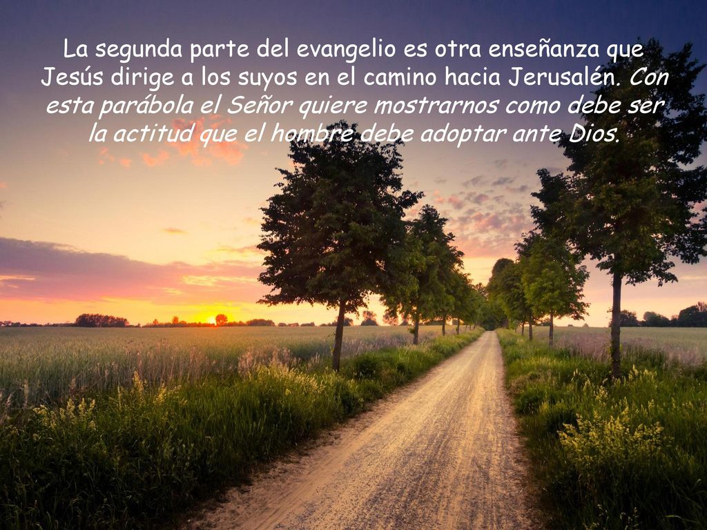 La segunda parte del evangelio es otra enseñanza que Jesús dirige a los suyos en el camino hacia Jerusalén.