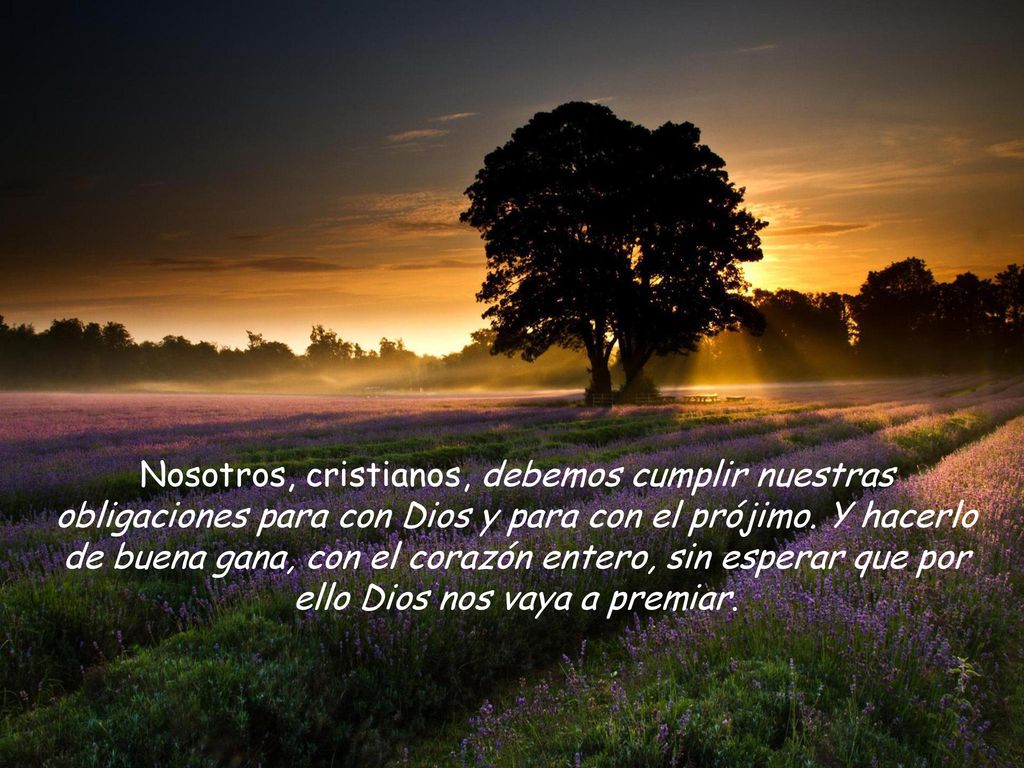 Nosotros, cristianos, debemos cumplir nuestras obligaciones para con Dios y para con el prójimo.