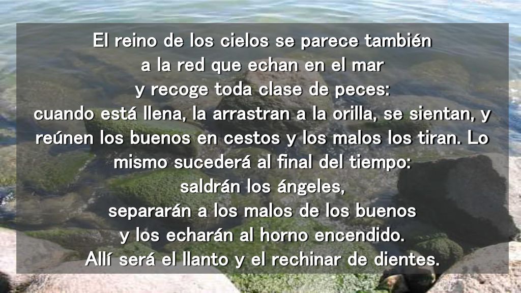 El reino de los cielos se parece también a la red que echan en el mar y recoge toda clase de peces: cuando está llena, la arrastran a la orilla, se sientan, y reúnen los buenos en cestos y los malos los tiran.