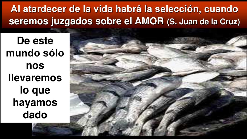 De este mundo sólo nos llevaremos lo que hayamos dado