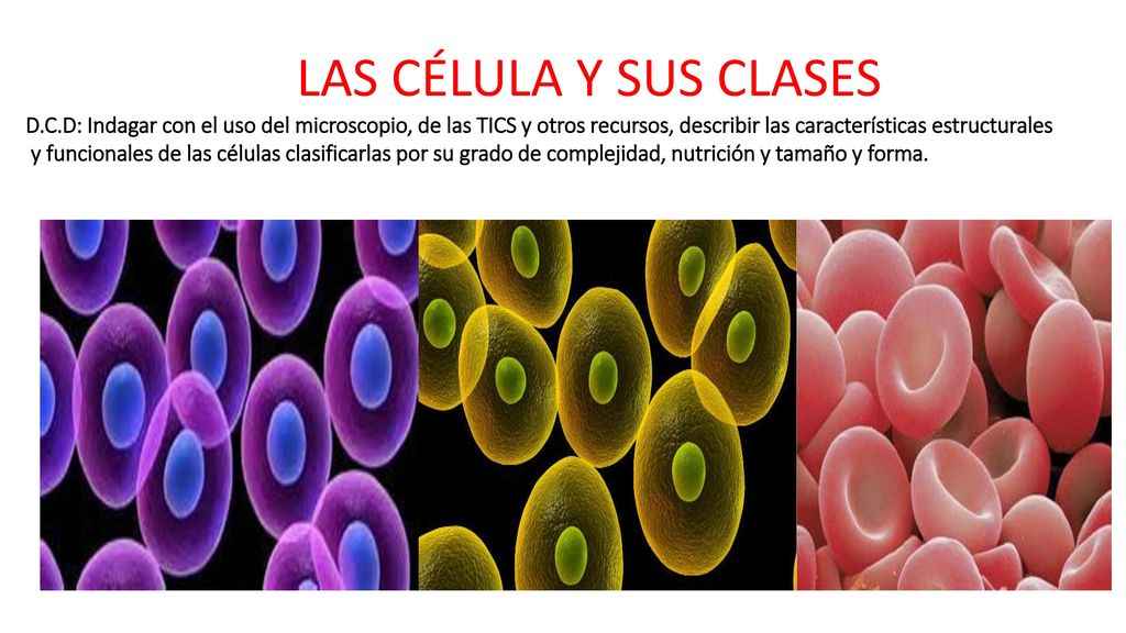 LAS CÉLULA Y SUS CLASES D.C.D: Indagar con el uso del microscopio, de las TICS y otros recursos, describir las características estructurales.