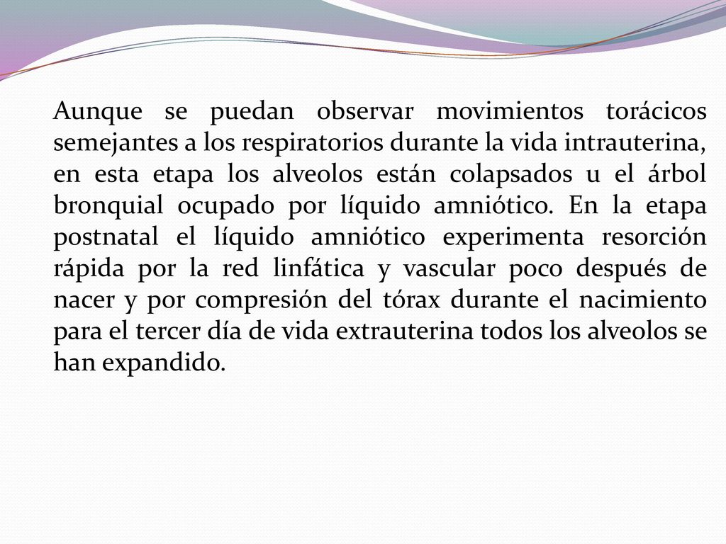 Aunque se puedan observar movimientos torácicos semejantes a los respiratorios durante la vida intrauterina, en esta etapa los alveolos están colapsados u el árbol bronquial ocupado por líquido amniótico.