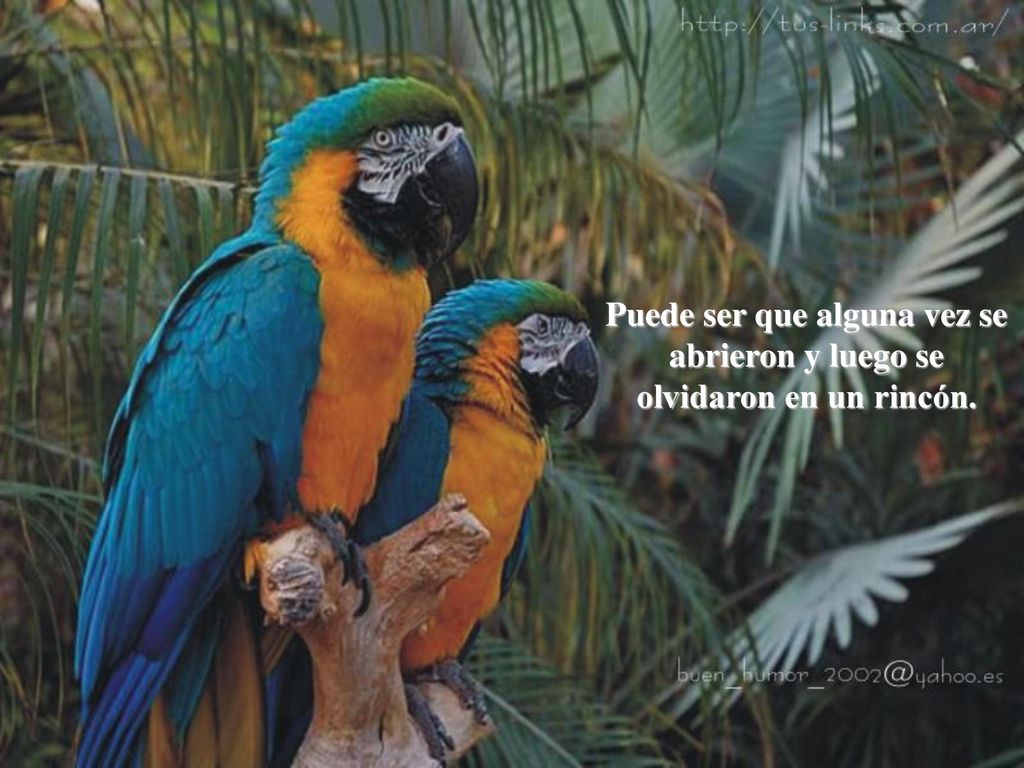 Puede ser que alguna vez se abrieron y luego se olvidaron en un rincón.