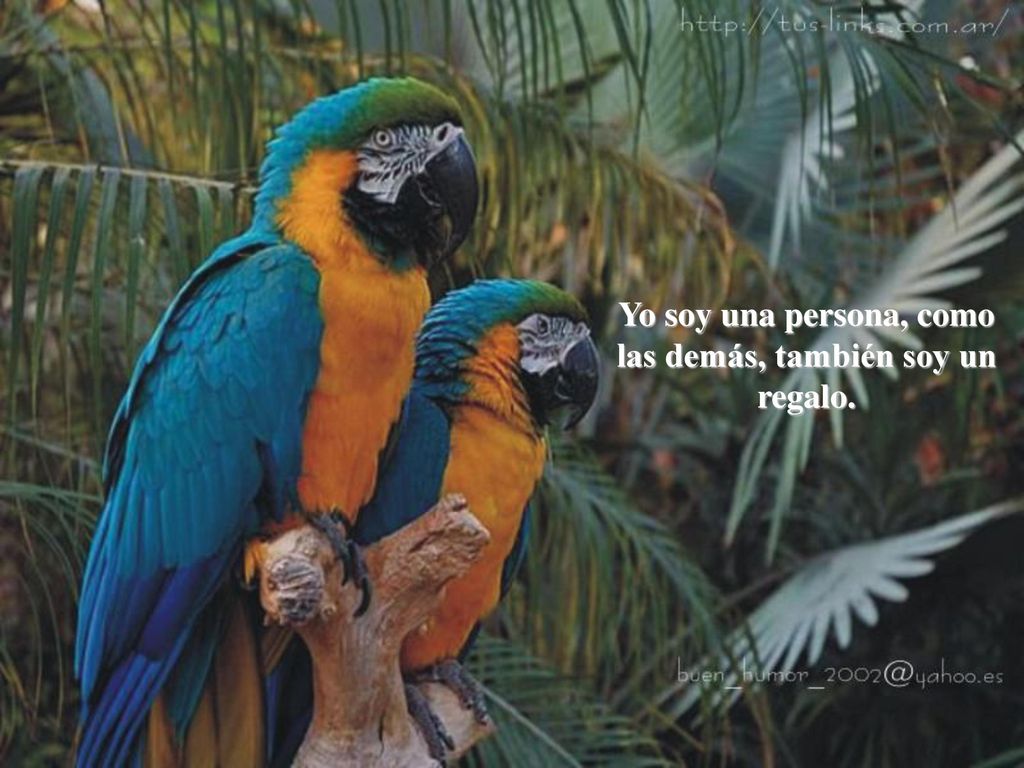 Yo soy una persona, como las demás, también soy un regalo.
